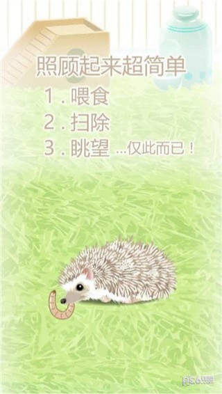治愈刺猬育成安卓版