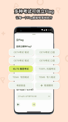 Flaget官网版