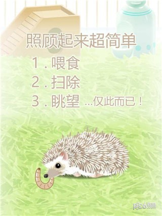 治愈刺猬育成免费版