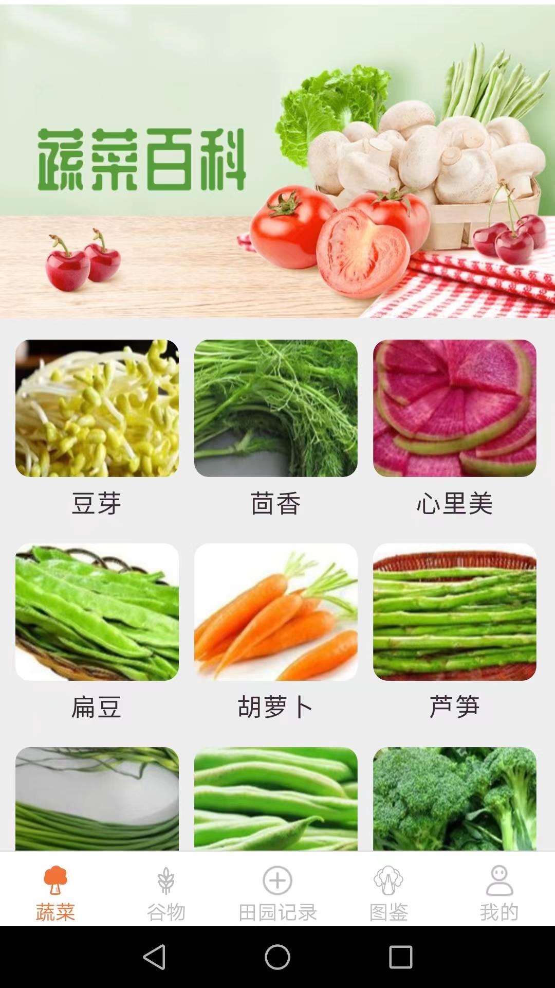 口袋田园手机版