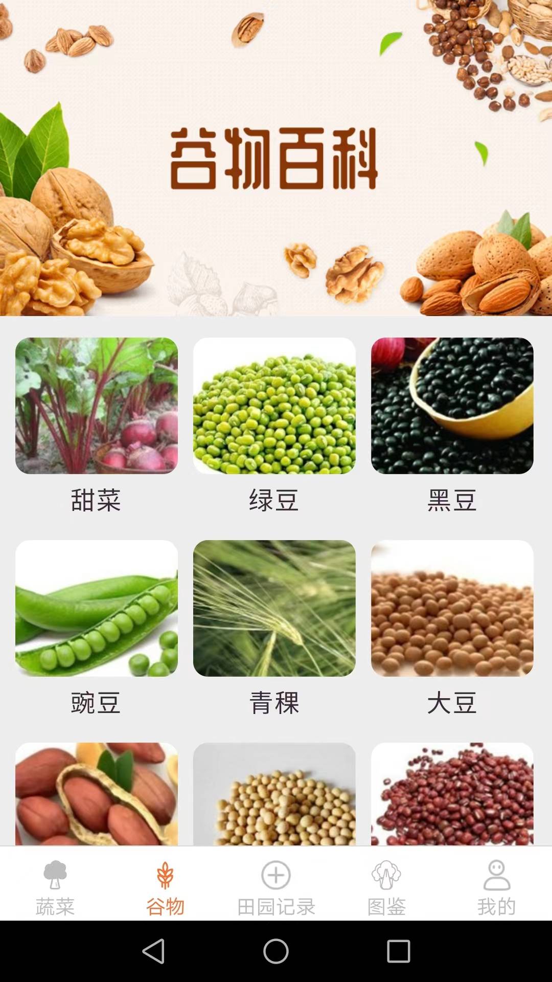 口袋田园官网版