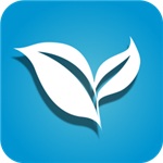 叶子tv直播官网版