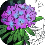 数字填色画画世界最新版