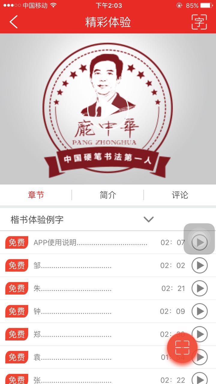 庞中华书法手机版