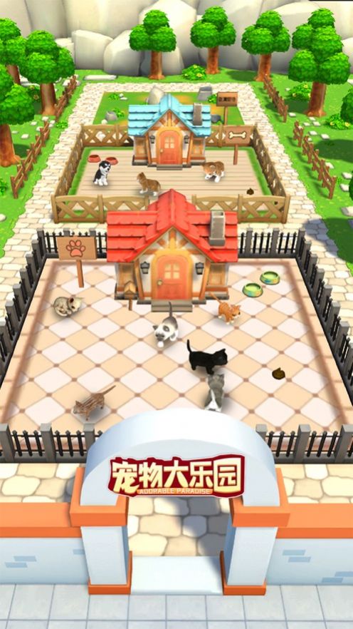 我的小猫咪养成记