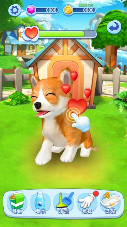 我的小猫咪养成记最新版