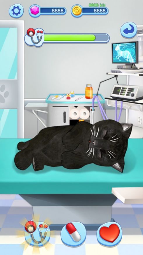 我的小猫咪养成记官网版