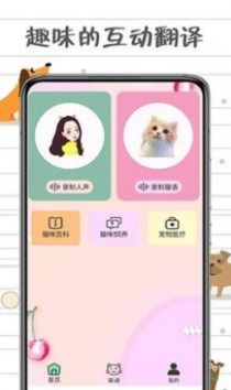 小猫交流器手机版