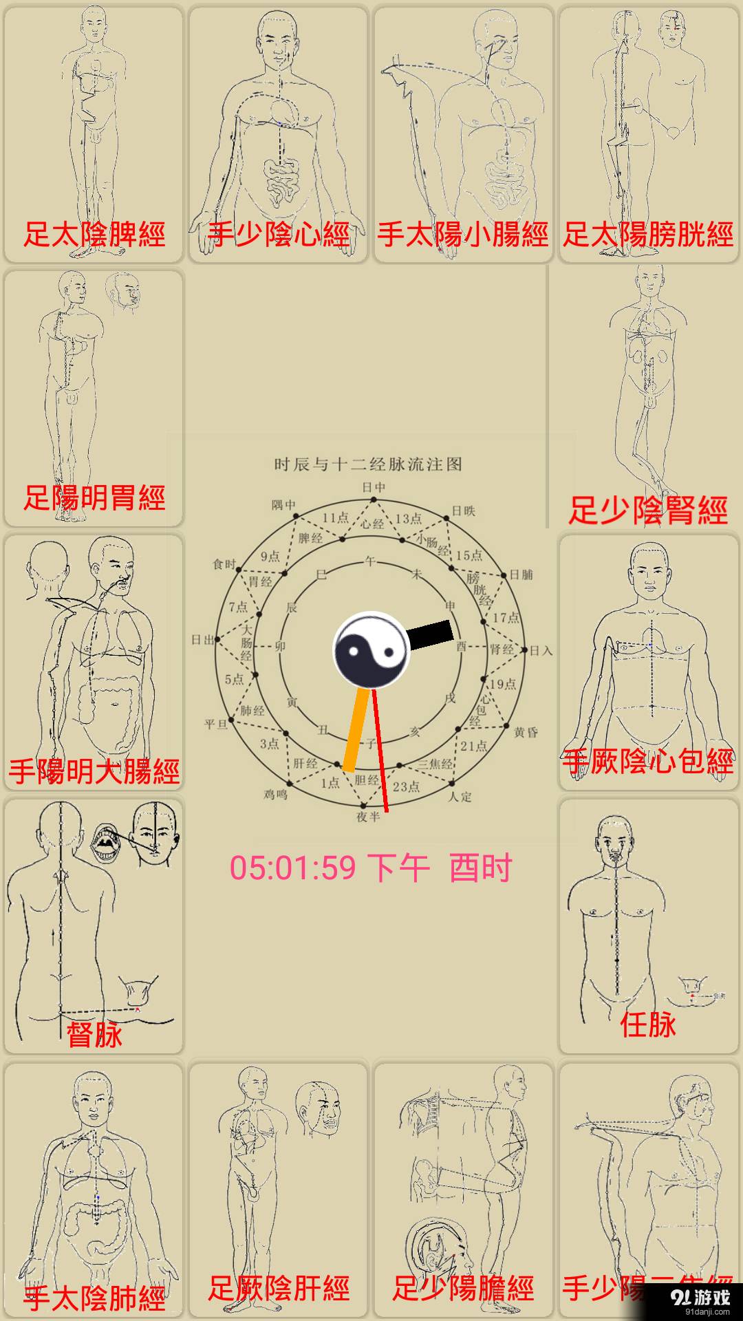 中医经络穴位流注安卓版