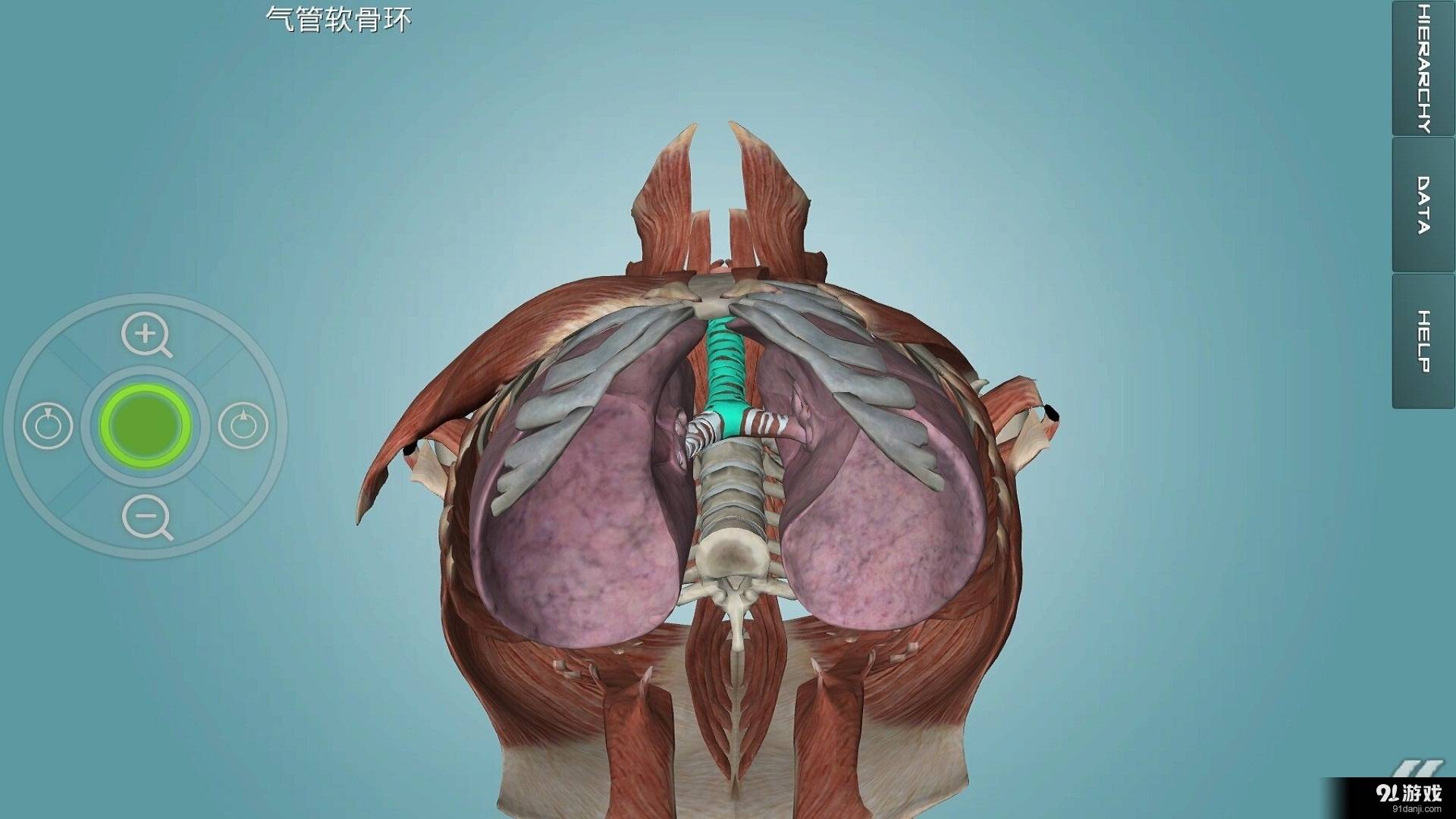 人体解剖学图集手机版