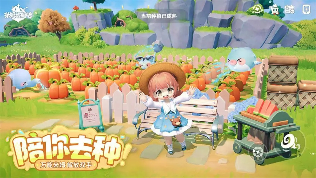 米姆米姆哈最新版