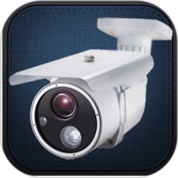 手机监控老版本