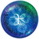 星噬完整版先行服