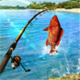 超真实钓鱼模拟器精简版