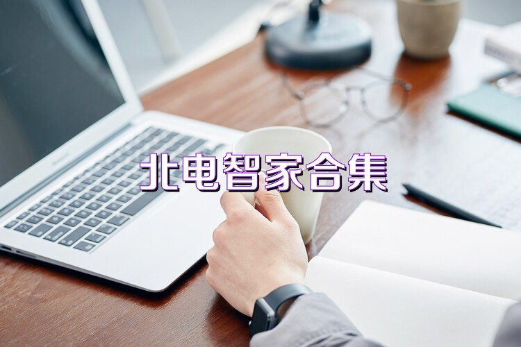 北电智家合集