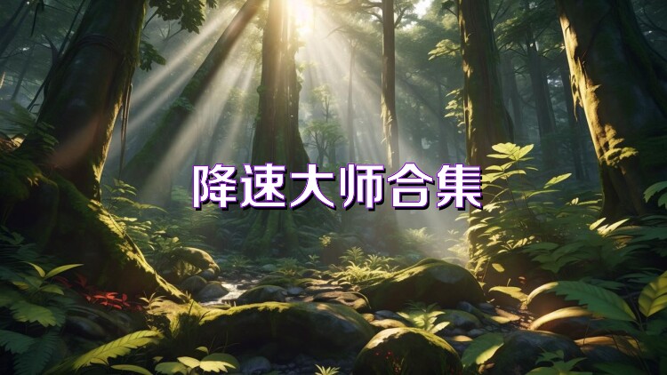 降速大师合集
