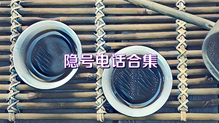 隐号电话合集