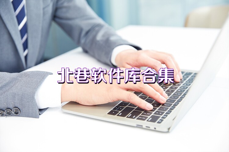北巷软件库合集