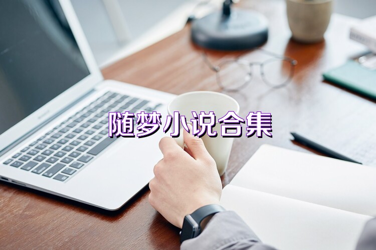 随梦小说合集