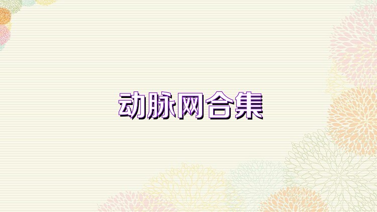 动脉网合集