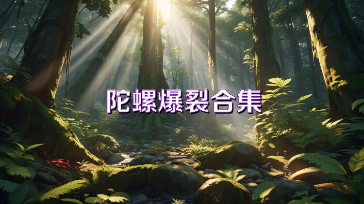 陀螺爆裂合集