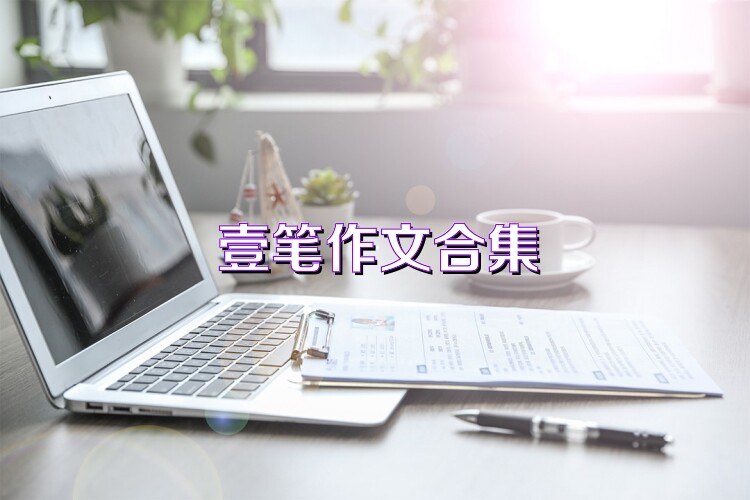 壹笔作文合集