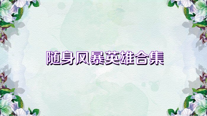 随身风暴英雄合集