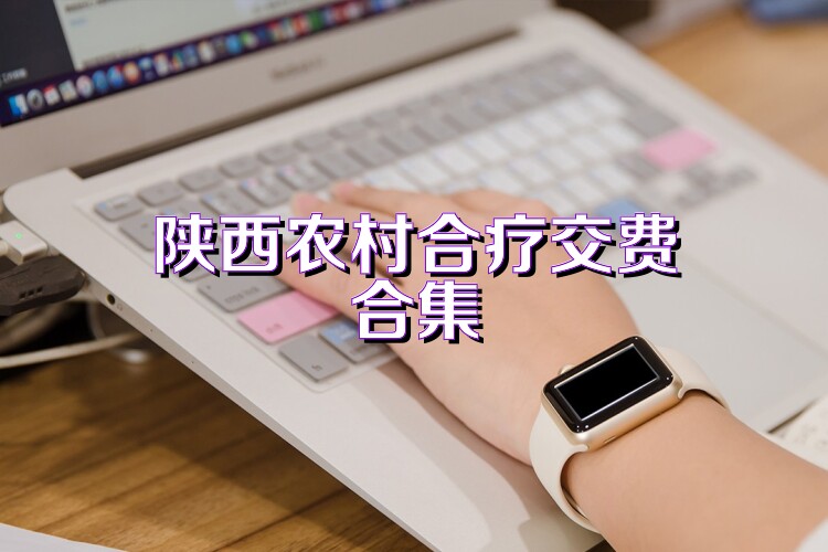 陕西农村合疗交费合集