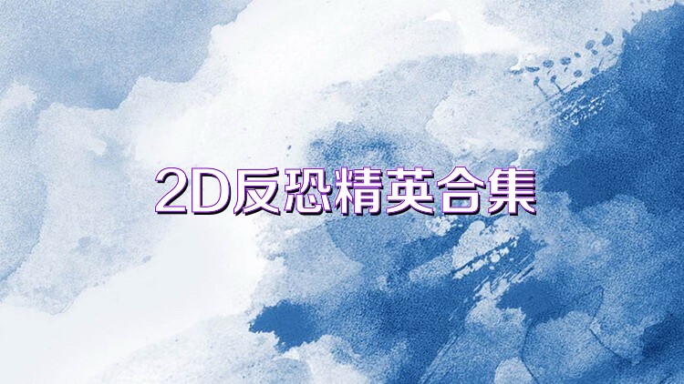 2D反恐精英合集