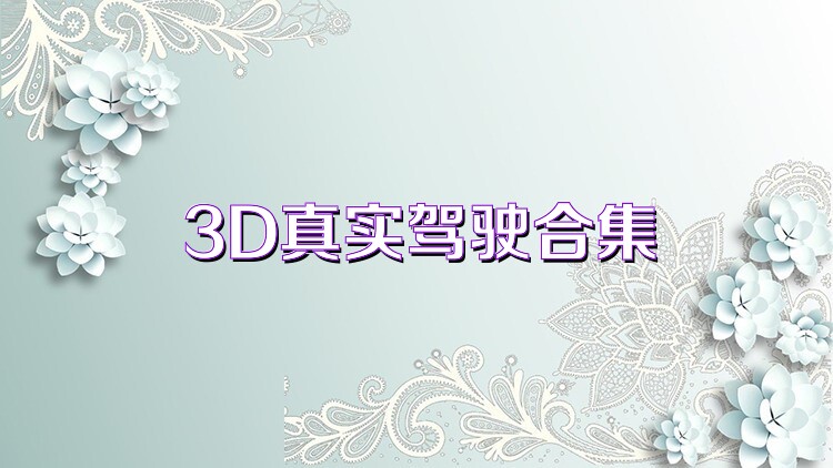 3D真实驾驶合集