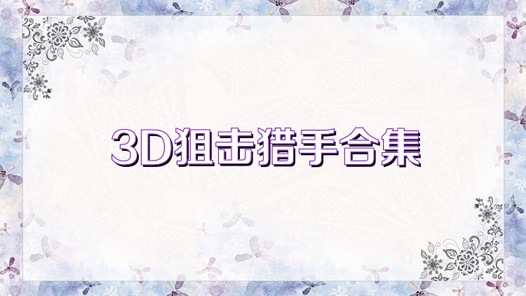 3D狙击猎手合集
