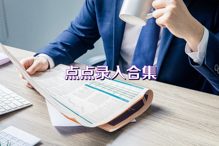 点点录入合集