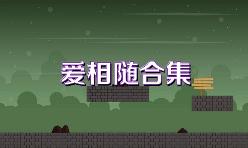 爱相随合集