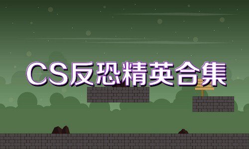 CS反恐精英合集