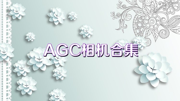 AGC相机合集