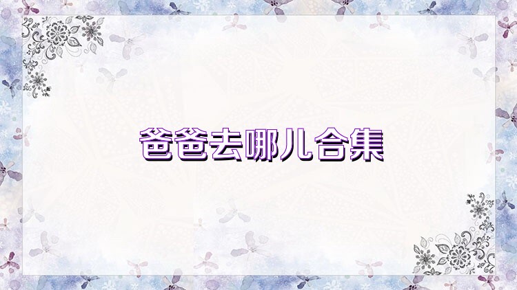 爸爸去哪儿合集