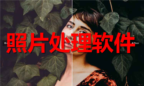照片处理软件大全
